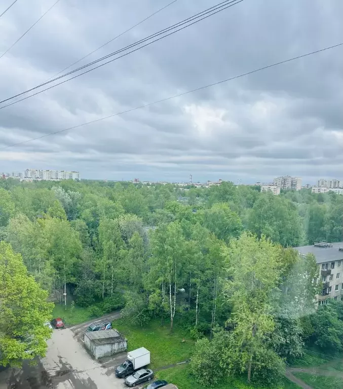 1-к кв. Санкт-Петербург Северный просп., 83 (35.9 м) - Фото 0