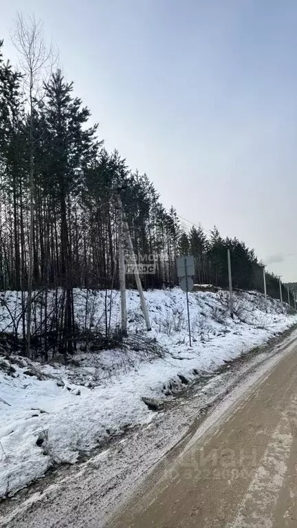 Участок в Иркутская область, Иркутский муниципальный округ, д. ... - Фото 1