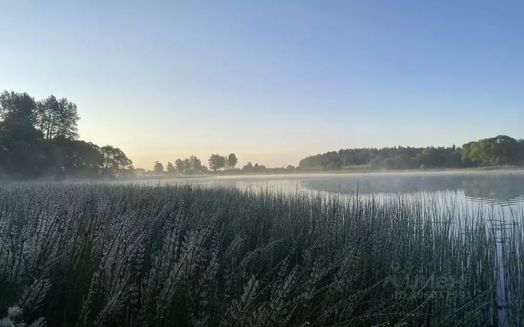 Участок в Московская область, Наро-Фоминский городской округ, д. ... - Фото 1