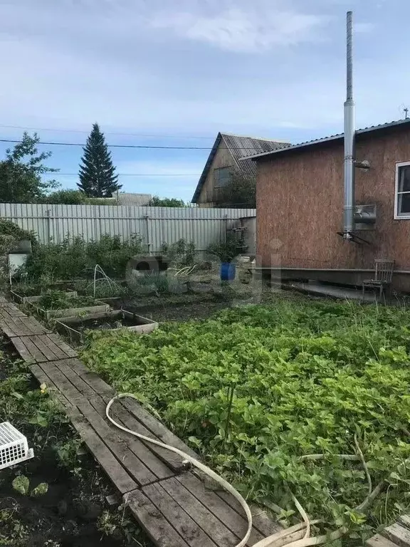 Дом в Курганская область, Кетовский муниципальный округ, Лесное СНО 79 ... - Фото 1