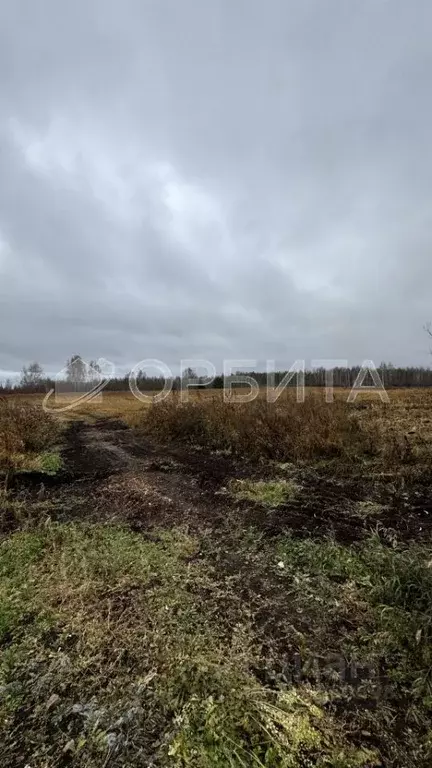 Участок в Тюменская область, Нижнетавдинский район, д. Нижние Тарманы ... - Фото 0