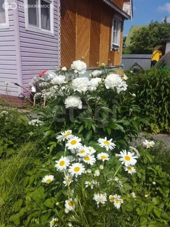 Дом в Ярославская область, Рыбинский муниципальный округ, ... - Фото 1