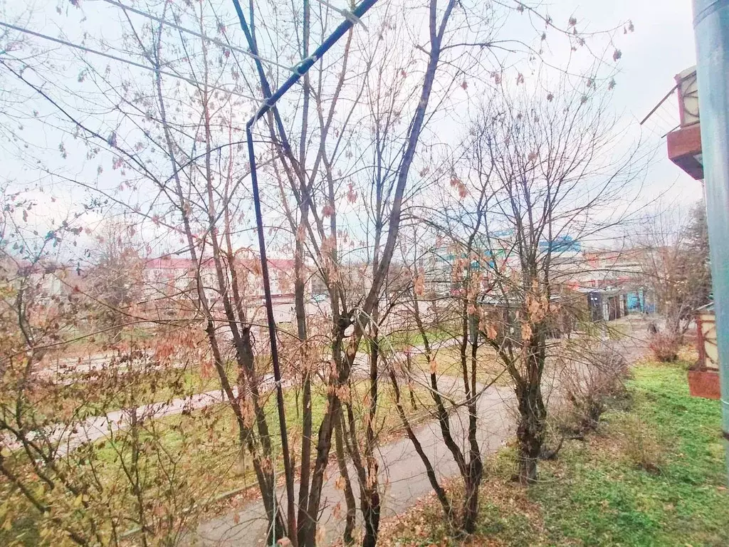 Комната Московская область, Солнечногорск Советская ул., 9 (19.7 м) - Фото 1