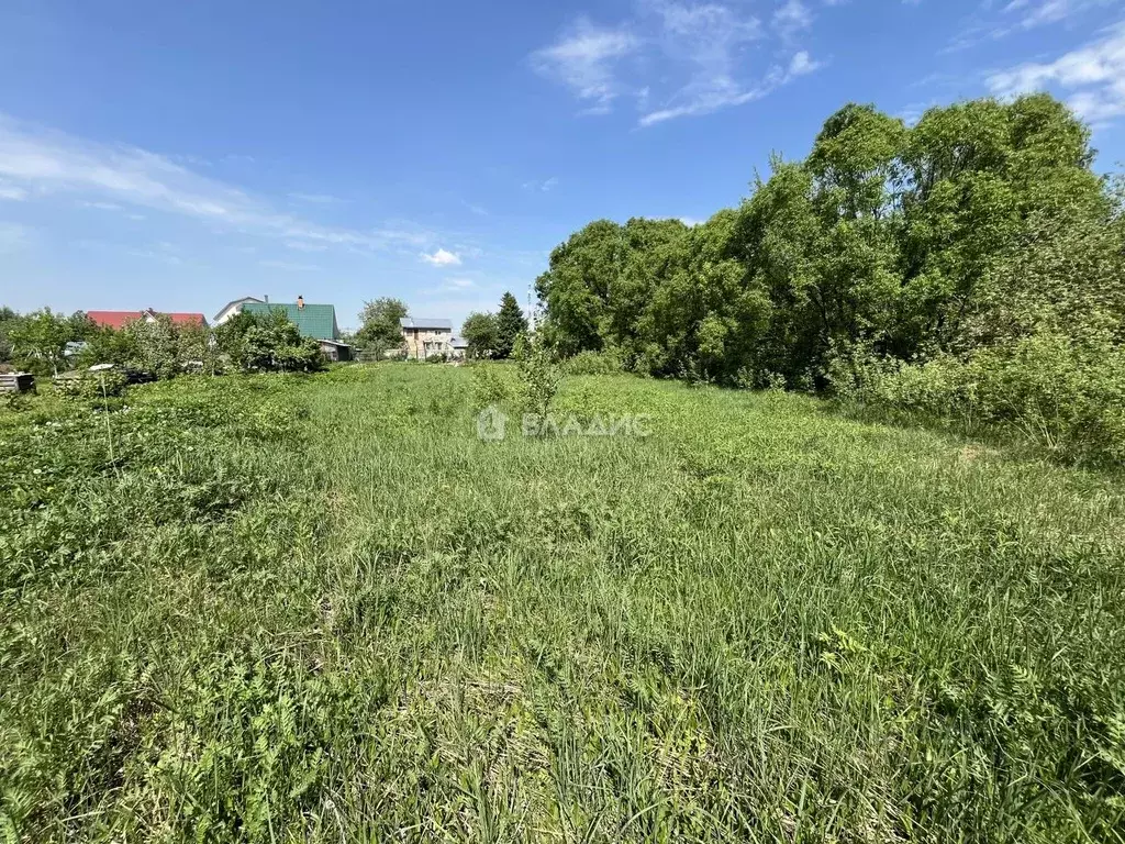 Участок в Московская область, Богородский городской округ, д. Новое ... - Фото 1