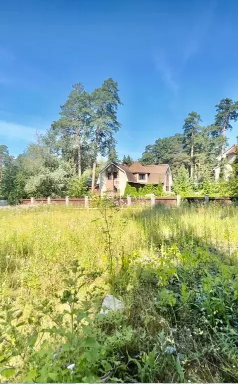 Участок в Новосибирская область, Новосибирск Красный просп. (11.5 ... - Фото 2