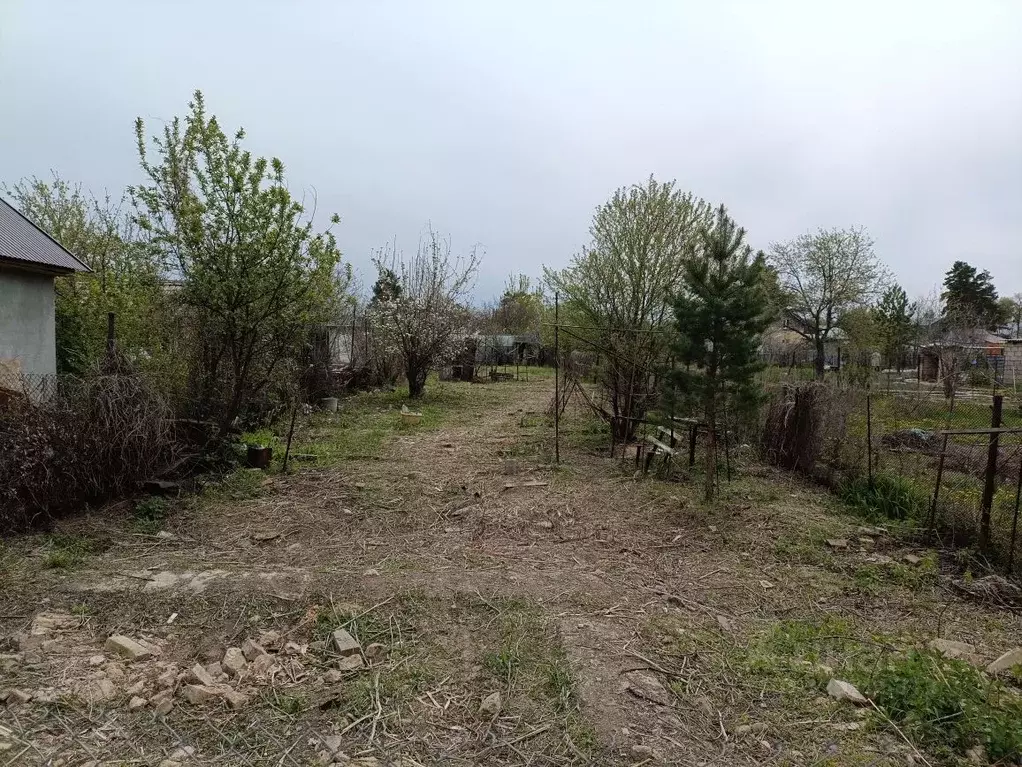 Участок в Оренбургская область, Оренбургский район, Степановский ... - Фото 1