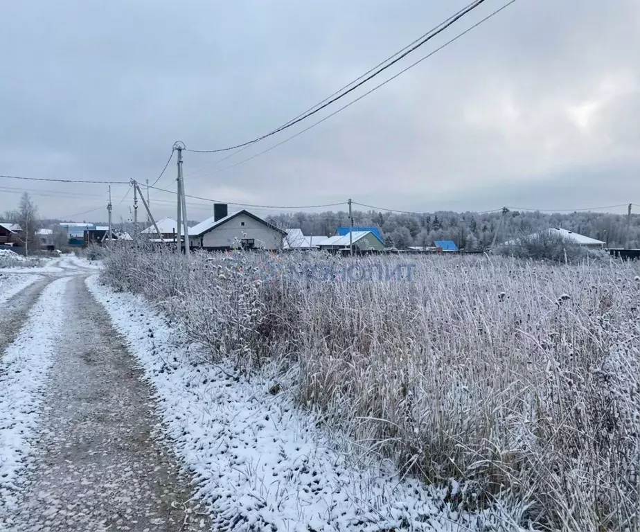 Участок в Нижегородская область, Богородский муниципальный округ, д. ... - Фото 1