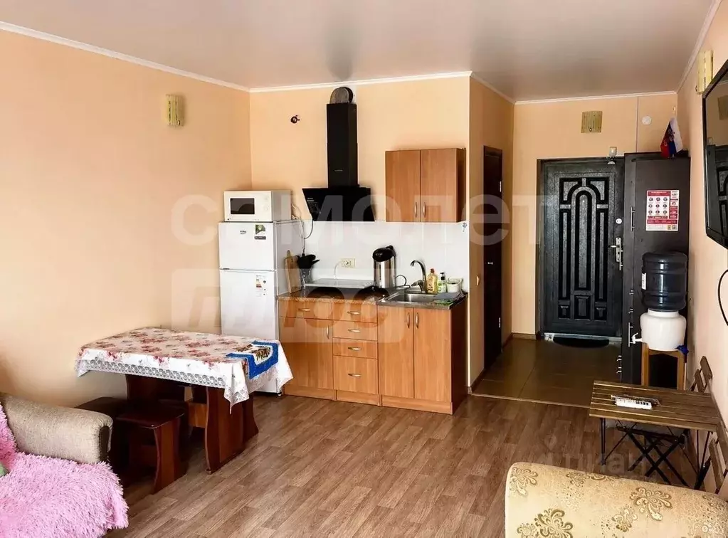 Студия Крым, Сакский район, с. Молочное ул. Южная, 70 (20.0 м) - Фото 1