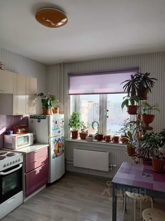 1-к кв. Новосибирская область, Новосибирск Спортивная ул., 23 (37.6 м) - Фото 1