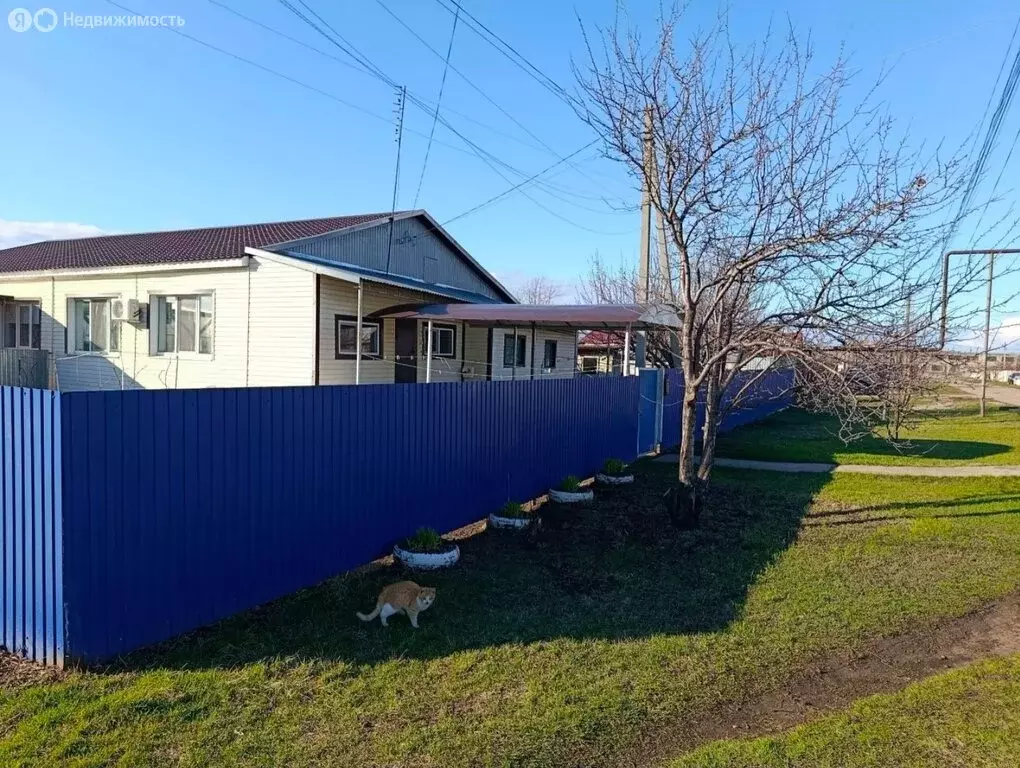 Дом в Саратовская область, рабочий посёлок Духовницкое, улица ... - Фото 2