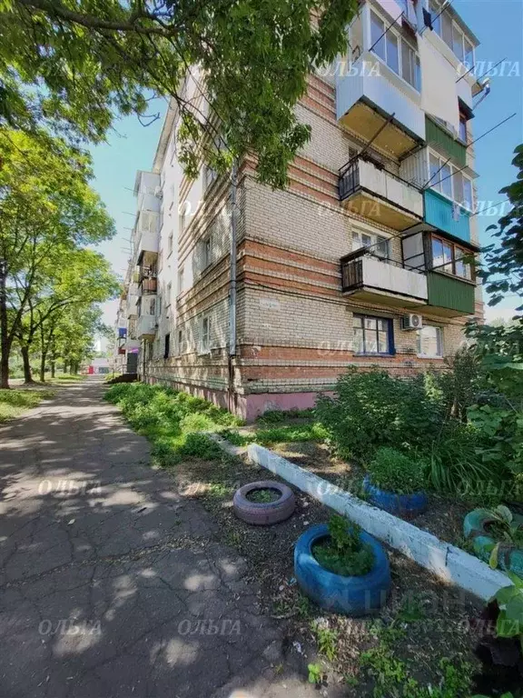 3-к кв. Еврейская автономная область, Биробиджан Сопка мкр, ул. Карла ... - Фото 0