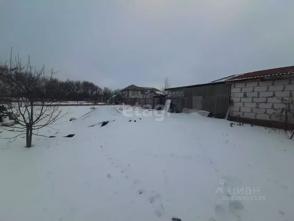 Участок в Белгородская область, Волоконовка рп ул. Молодежная (6.9 ... - Фото 0