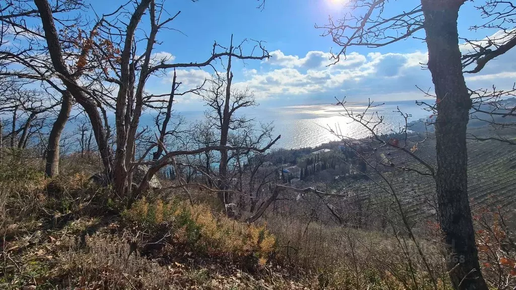 Участок в Крым, Алушта муниципальный округ, с. Малый Маяк ул. Морская ... - Фото 1