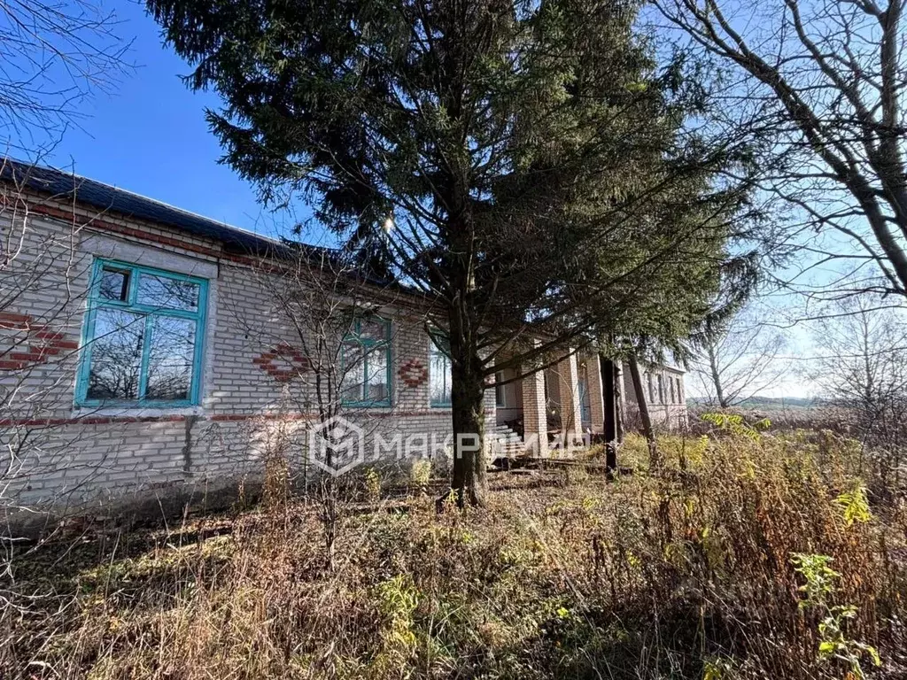 Помещение свободного назначения в Орловская область, Сосковское с/пос, ... - Фото 2