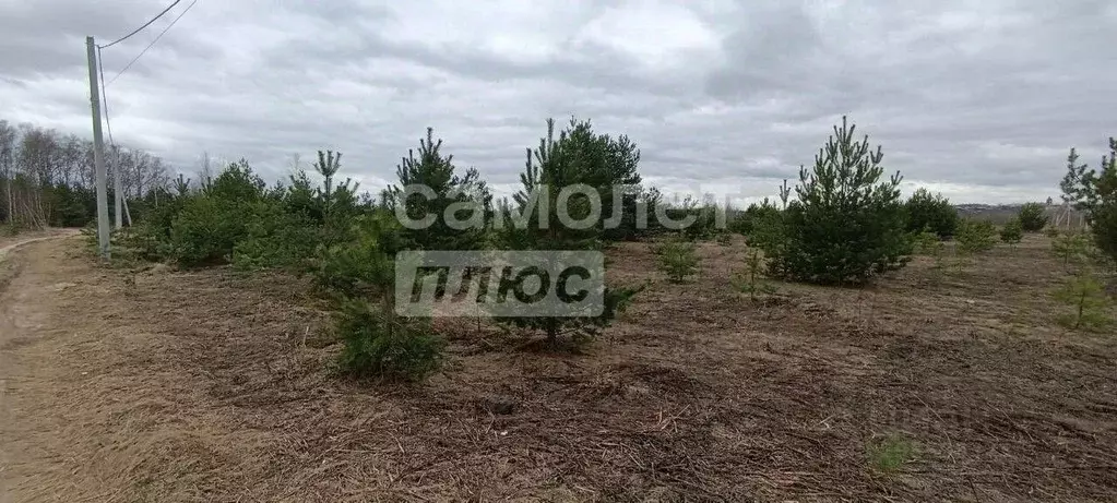 Участок в Владимирская область, Суздальский район, Боголюбовское ... - Фото 0