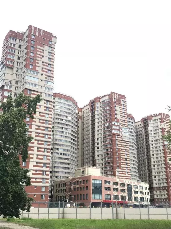 Свободной планировки кв. Санкт-Петербург ул. Орджоникидзе, 52 (25.0 м) - Фото 0