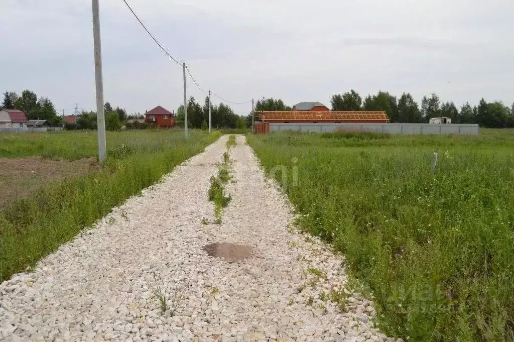 Участок в Вологодская область, Усть-Кубинский муниципальный округ, ... - Фото 2