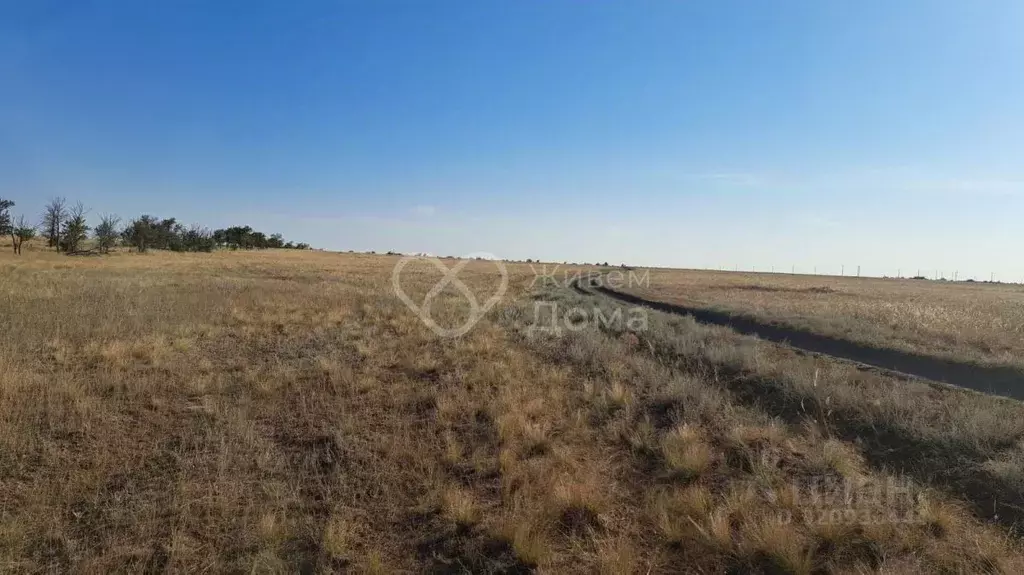 Участок в Волгоградская область, Волгоград Село Песчанка тер., ул. ... - Фото 1