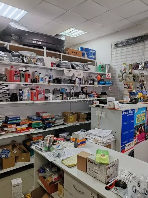 Торговая площадь в Алтайский край, Барнаул ул. Островского, 68Е (82 м) - Фото 2