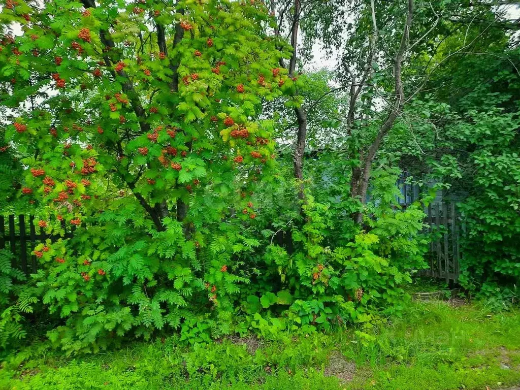 Дом в Тюменская область, Тюмень Топаз СНТ, ул. Солнечная (20 м) - Фото 1