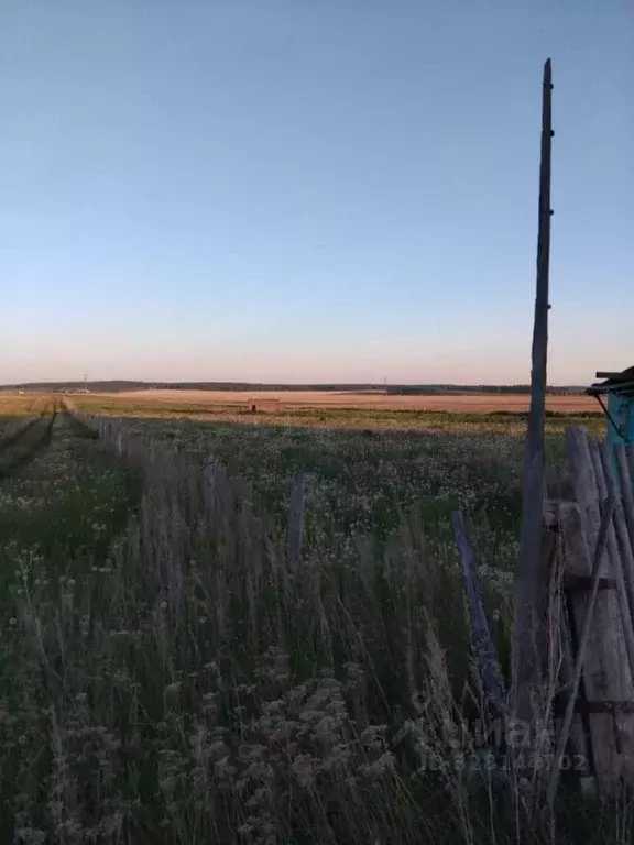 Участок в Челябинская область, Чебаркульский муниципальный округ, с. ... - Фото 1