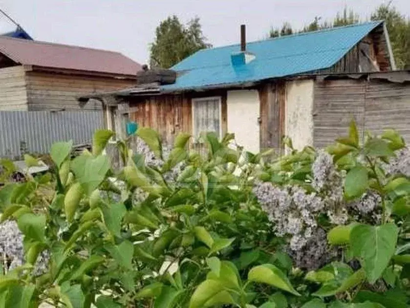 Дом в Ханты-Мансийский АО, Сургут № 41 Рябинка садоводческий ... - Фото 1