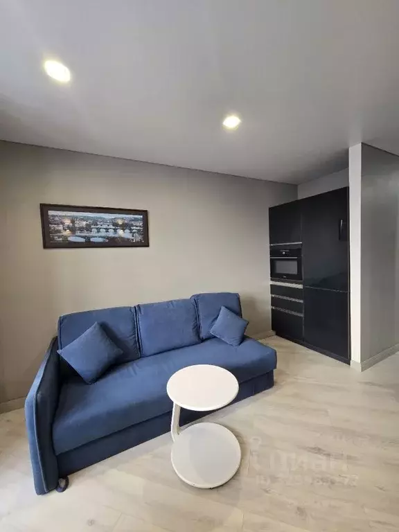 Студия Москва проезд Чечерский, 26 (27.0 м) - Фото 2