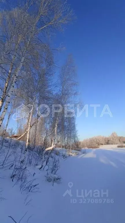 Участок в Тюменская область, Тюменский муниципальный округ, д. ... - Фото 1