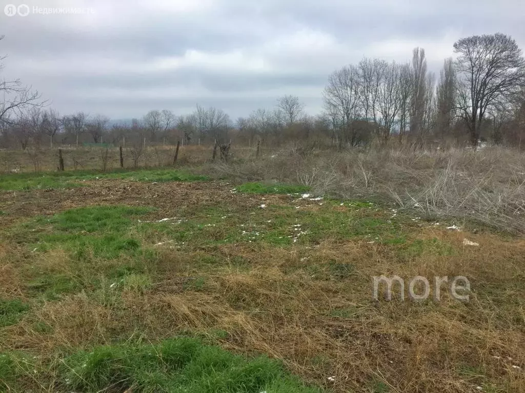 Участок в станица Натухаевская, улица Карла Маркса, 4Б (10 м) - Фото 1
