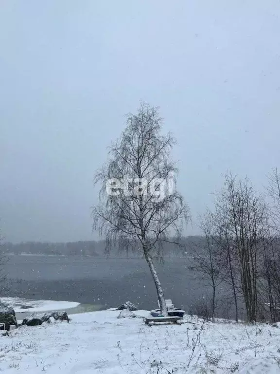 Участок в Ленинградская область, Приозерский район, Ромашкинское ... - Фото 0