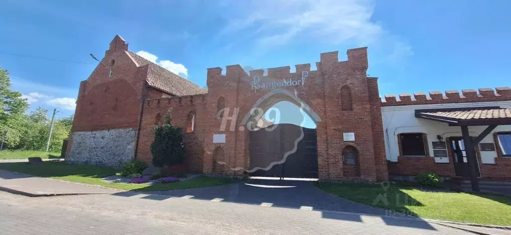 Участок в Калининградская область, Гвардейский муниципальный округ, ... - Фото 1