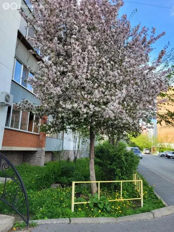 2-комнатная квартира: Миасс, улица Лихачёва, 24 (67 м) - Фото 0