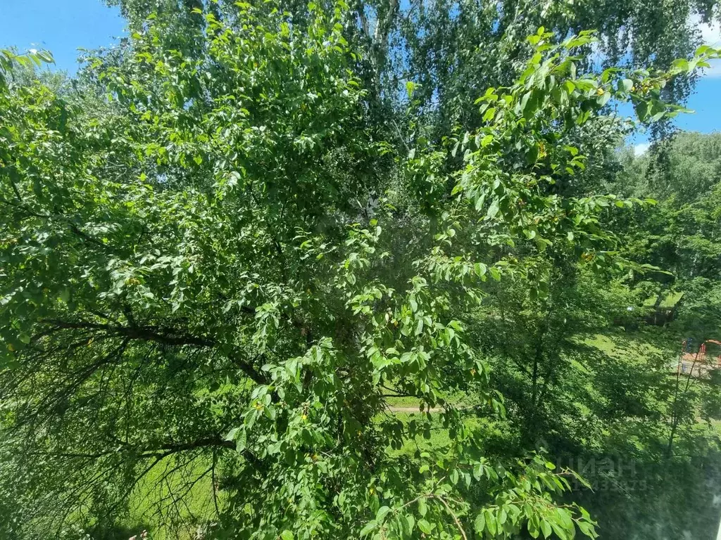 2-к кв. Рязанская область, Рязань Черновицкая ул., 4 (43.0 м) - Фото 2