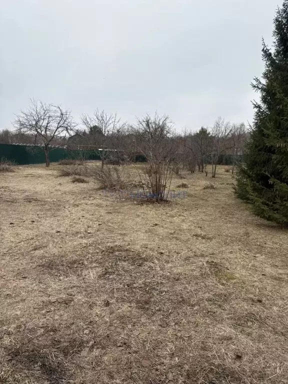 Участок в Нижегородская область, Богородский муниципальный округ, д. ... - Фото 1