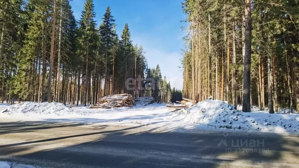 Участок в Свердловская область, Белоярский муниципальный округ, ... - Фото 1