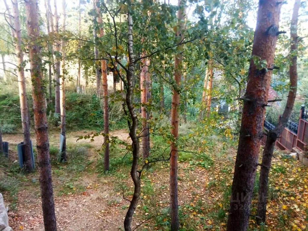 Участок в Московская область, Одинцовский городской округ, пос. ... - Фото 1