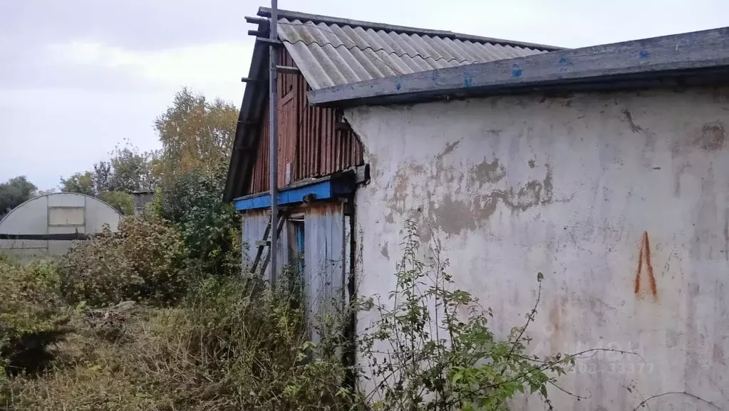 Дом в Омская область, Марьяновка рп ул. Омская, 201 (40 м) - Фото 1
