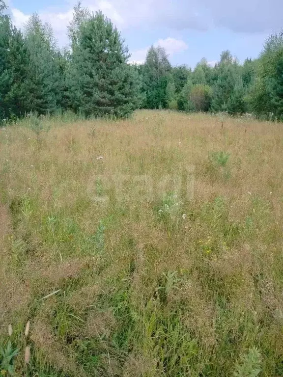 Участок в Кировская область, Киров городской округ, д. Эсауловы  (15.0 ... - Фото 0
