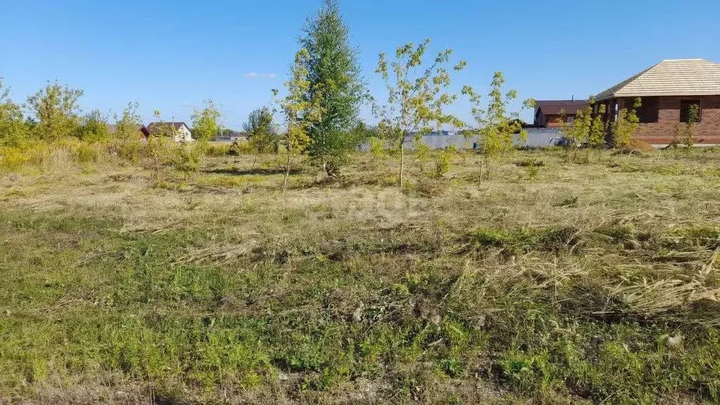 Участок в Мордовия, Саранск городской округ, Николаевка рп ул. ... - Фото 0