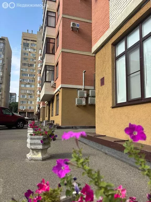 1-комнатная квартира: Ставрополь, улица Ломоносова, 55 (40 м) - Фото 0