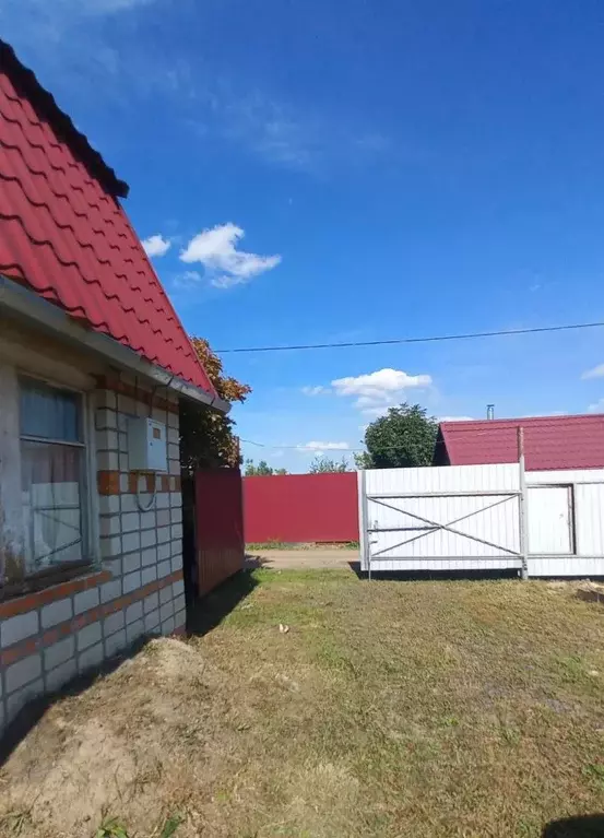 Участок в Хабаровский край, Хабаровск Энергостроитель садовое ... - Фото 2