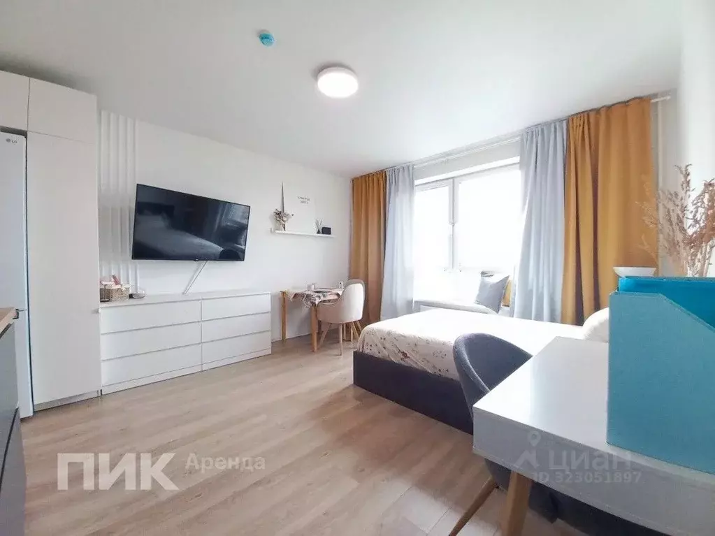 Студия Санкт-Петербург просп. Орлово-Денисовский, 19к2 (25.8 м) - Фото 2