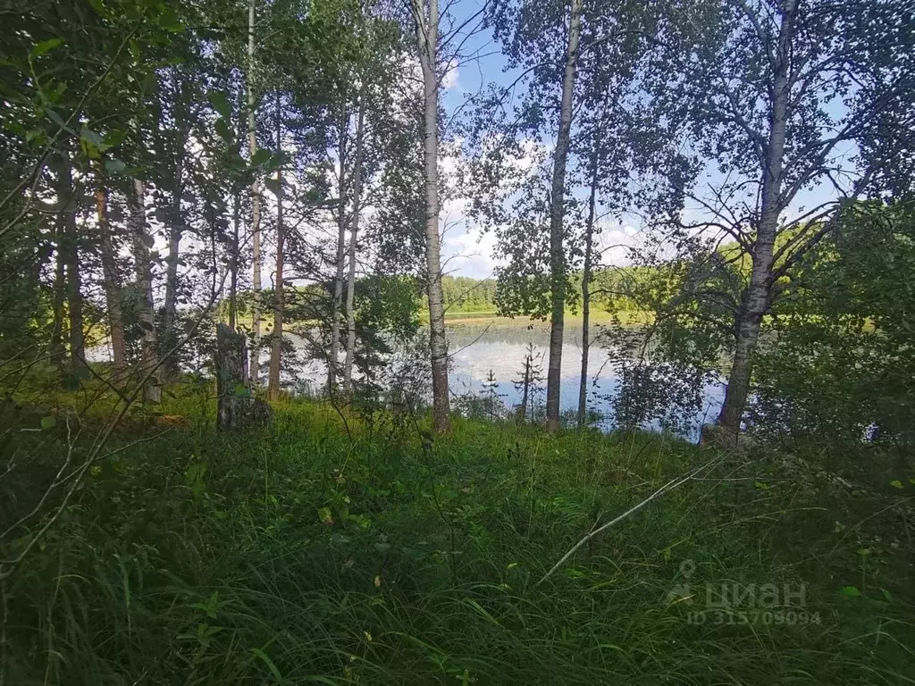 Участок в Карелия, Лахденпохский район, Мийнальское с/пос, пос. ... - Фото 0