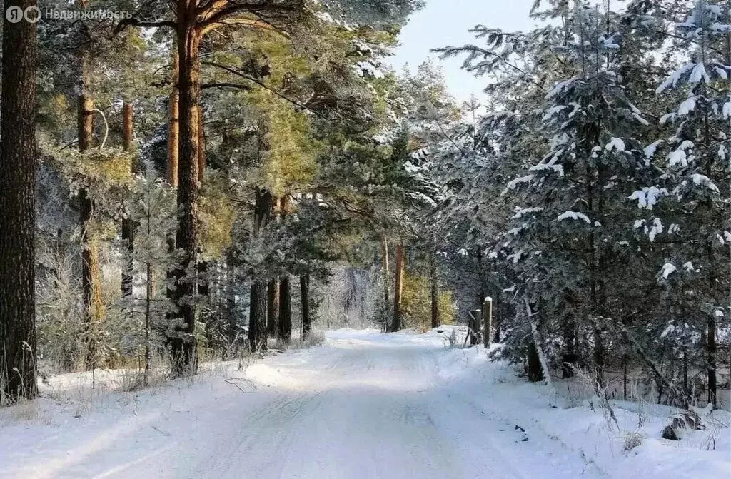 Дом в деревня Матюшино, база отдыха ОАО КМИЗ (80 м) - Фото 0