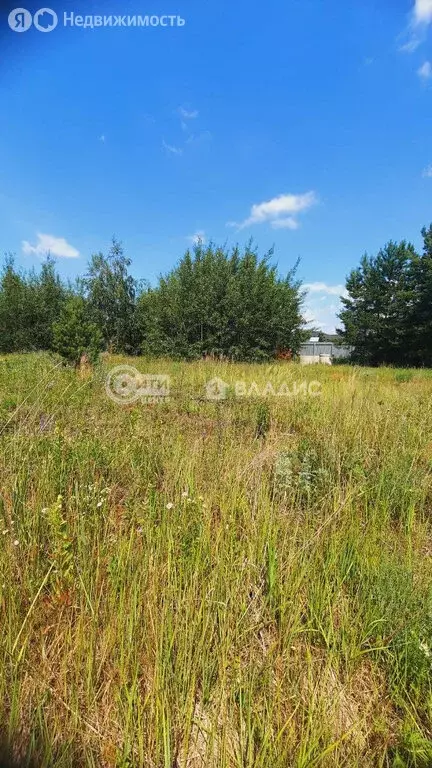 Участок в Медовка, Янтарная улица, 42 (12 м) - Фото 0