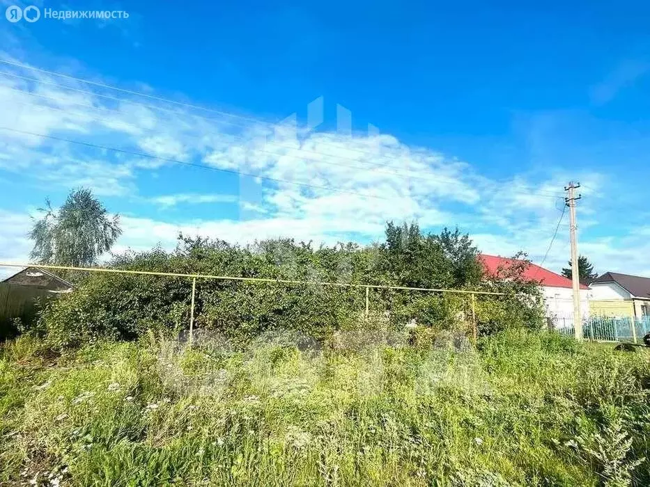 Участок в село Боево, улица Степана Разина, 69 (31 м) - Фото 2