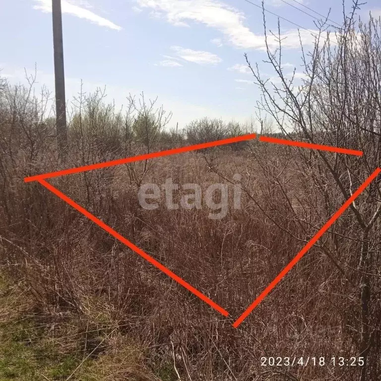 Участок в Брянская область, Брянск Надежда садоводческое товарищество, ... - Фото 1