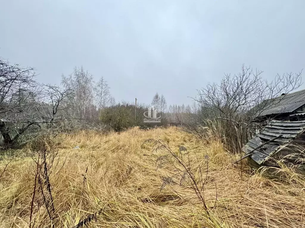 Участок в Рязанская область, Клепиковский район, с. Криуша  (12.5 ... - Фото 1