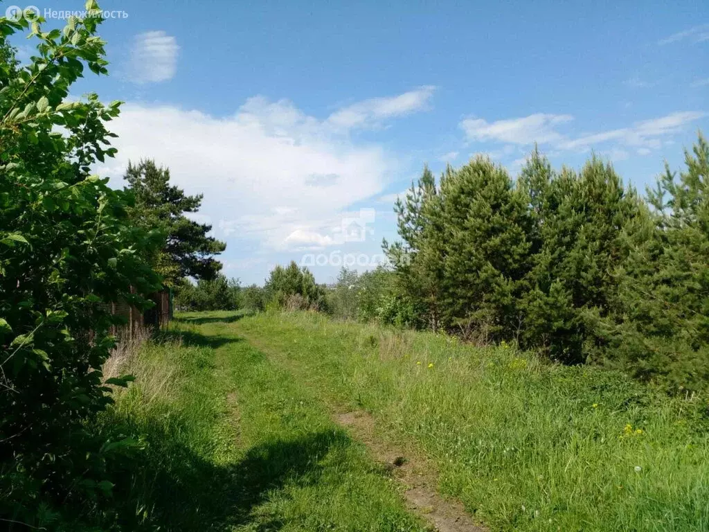 Участок в Косулино, улица Ленина, 93 (12 м) - Фото 1