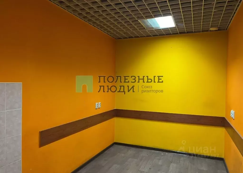 Помещение свободного назначения в Краснодарский край, Новороссийск ... - Фото 0